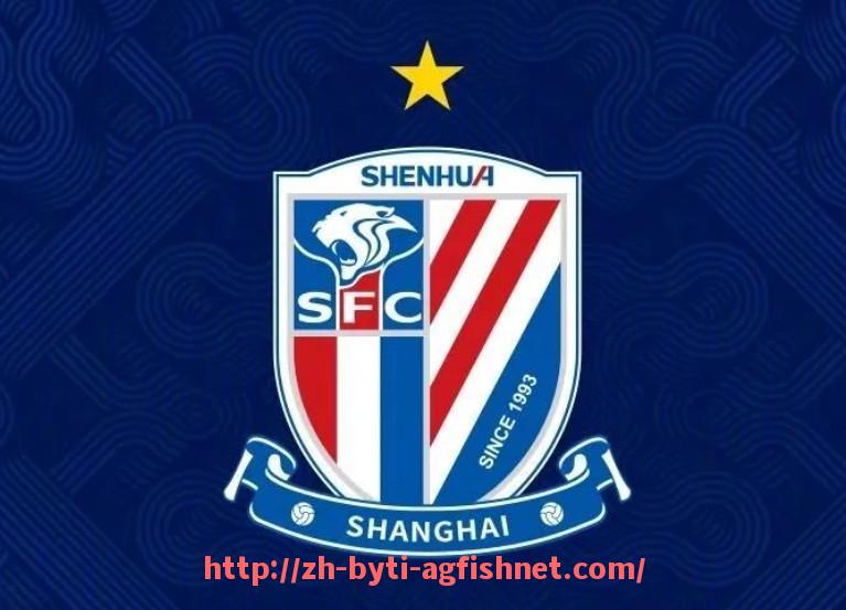 AG捕鱼王官网-2010-2011赛季欧冠精彩回顾与关键比赛分析