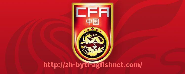 AG捕鱼王官网-意甲中国老板球队介绍及投资影响