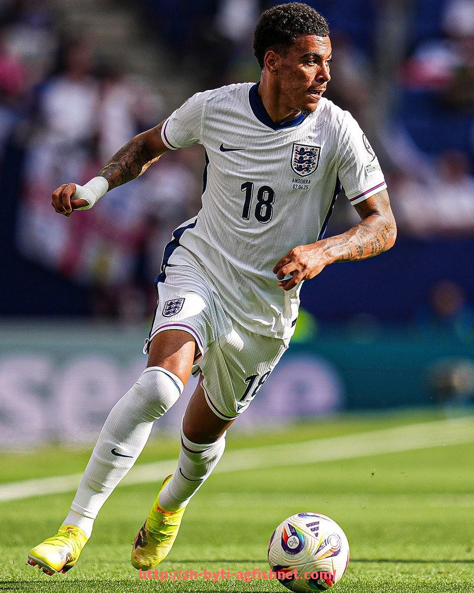 AG捕鱼王官网-英超本土球员规定及其对球队阵容构建的影响评估