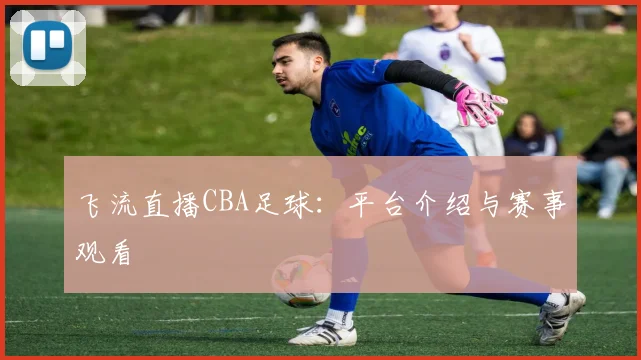 飞流直播CBA足球：平台介绍与赛事观看