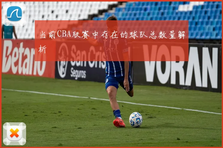 当前CBA联赛中存在的球队总数量解析