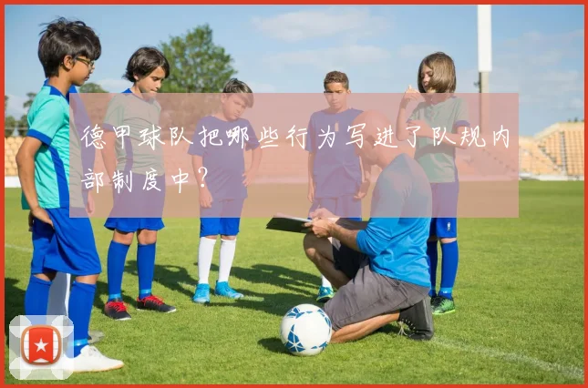 德甲球队把哪些行为写进了队规内部制度中？