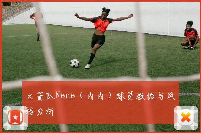 火箭队Nene（内内）球员数据与风格分析