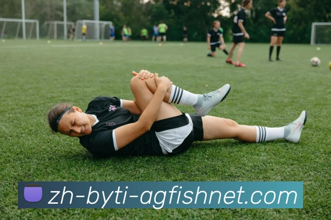 AG捕鱼王官网服务体系